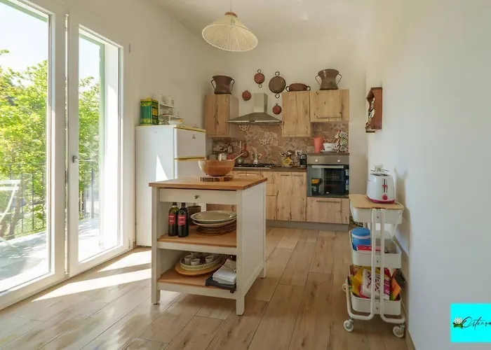 Ortensia * 切法卢