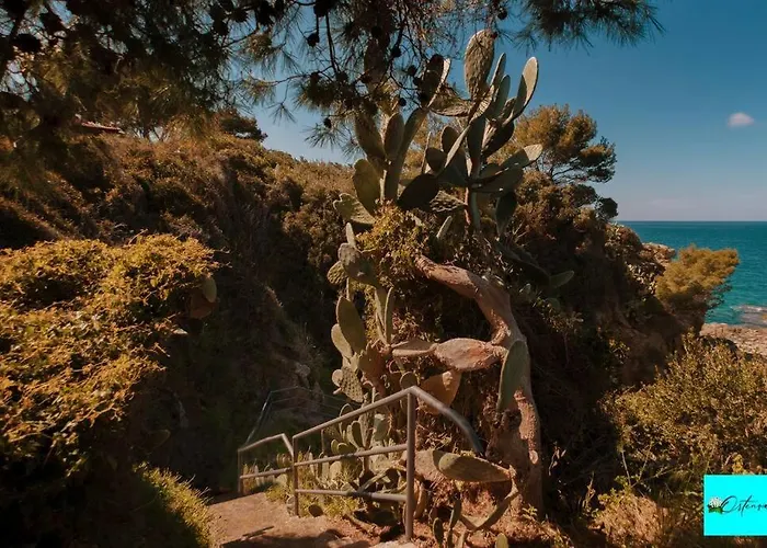 Ortensia * 切法卢