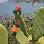 Ortensia * Cefalù