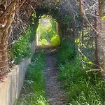 Ortensia Cefalù